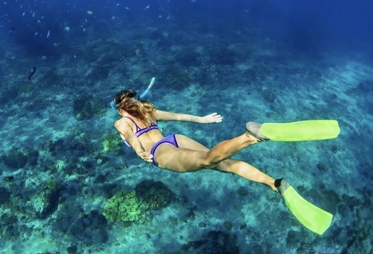 Isla Catalina: La Mejor Experiencia de Snorkel
