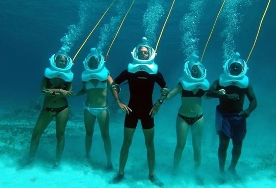 Seaquiarium Punta Cana: Diversión Total