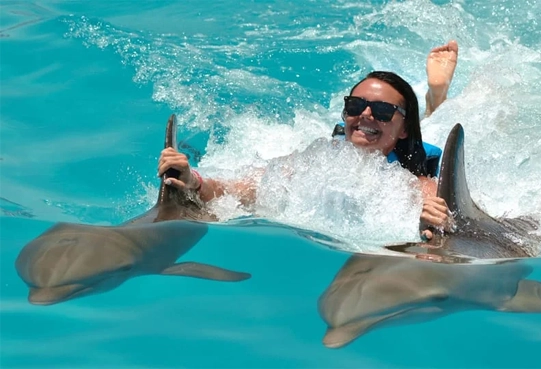 Excursion Delfines en Punta Cana Excellence