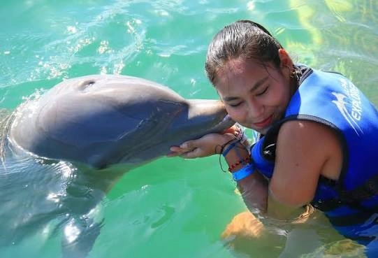 Excursion Delfines en Punta Cana Dolphin Explorer